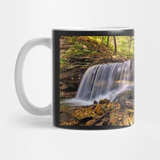 Forest waterfall Mug